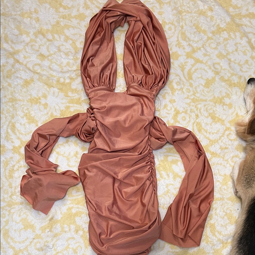 Tiger Mist Rust Mini Dress